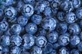 Blueberries floating in water with bubbles. Fresh blueberries background with copy space for your text. Vegan and vegetarian