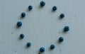 Blueberries folded in a circle on white background