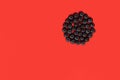 blueberries on a red background