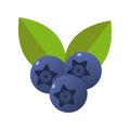 Blueberries fresh delicious fruits isolated style icons