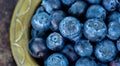 Blueberries fresh fruits, ealthy eating banner