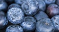 Blueberries fresh juicy fruits close-up, web banner