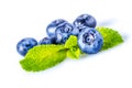 Blueberries Royalty Free Stock Photo