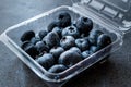 Blueberries / Fresh Raw Organic Berries Blueberry in Plastic Box Package or Container