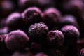 Blueberries frozen fruit macro shooting