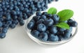 Blueberries Fruit Bowl