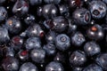 Blueberries fruit close up Royalty Free Stock Photo