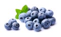 Blueberries fruits .