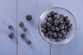 Blueberries in glass bowl. Royalty Free Stock Photo