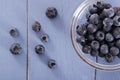 Blueberries in glass bowl. Royalty Free Stock Photo