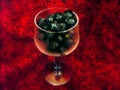 Blueberries in a Glass Still Life Royalty Free Stock Photo