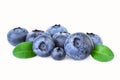 Blueberries with green leafs isolated on white Royalty Free Stock Photo