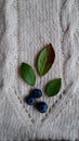 blueberries with green leaves on background Royalty Free Stock Photo