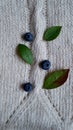 blueberries with green leaves on a background Royalty Free Stock Photo