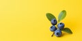 Blueberries with Green Leaves on Bright Yellow Background. Fresh Bilberry Twig. Generative AI Royalty Free Stock Photo