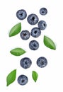 Blueberries with green leaves closeup, isolated on white background Royalty Free Stock Photo