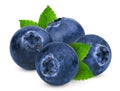 Blueberries with green leaves isolated on white Royalty Free Stock Photo