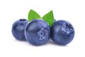 Blueberries with green leaves isolated on white Royalty Free Stock Photo