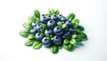 Blueberries with green leaves on a white background Royalty Free Stock Photo
