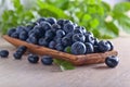 Blueberries with green leaves in wooden dish Royalty Free Stock Photo