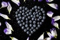 Blueberries heart with flower petals from above on black