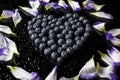 Blueberries heart with flower petals from high angle on black