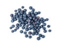 Blueberries, Huckleberry Isolated