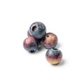 Blueberries, Huckleberry Isolated