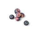 Blueberries, Huckleberry Isolated