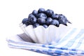 Blueberries iin metallic baking dish