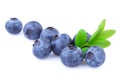 Blueberries isolated Royalty Free Stock Photo