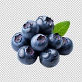Blueberries isolated on transparent background Royalty Free Stock Photo