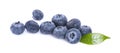 Blueberries isolated on white background Royalty Free Stock Photo