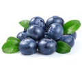 Blueberries Royalty Free Stock Photo