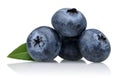 Blueberries Royalty Free Stock Photo