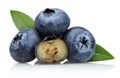 Blueberries Royalty Free Stock Photo