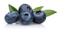 Blueberries Royalty Free Stock Photo