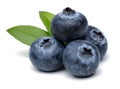 Blueberries Royalty Free Stock Photo