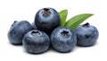 Blueberries Royalty Free Stock Photo