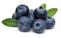 Blueberries Royalty Free Stock Photo
