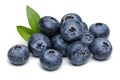 Blueberries Royalty Free Stock Photo