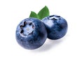 Blueberries on white background with clipping path Royalty Free Stock Photo