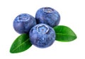 Blueberries isolated on white with clipping path Royalty Free Stock Photo