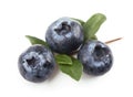 Blueberries,. Isolated white Royalty Free Stock Photo