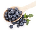 Blueberries,. Isolated white Royalty Free Stock Photo