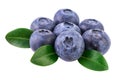 Blueberries isolated on white Image included clipping path