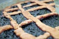 Blueberries jam tart closeup Royalty Free Stock Photo