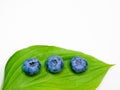 Blueberries on a leaf. on a white background. stack of blueberries with green leaves isolated on white background Royalty Free Stock Photo