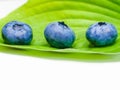 Blueberries on a leaf. on a white background. stack of blueberries with green leaves isolated on white background Royalty Free Stock Photo