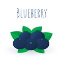 Blueberries with leaves isolated on white background. Blueberry flat icon